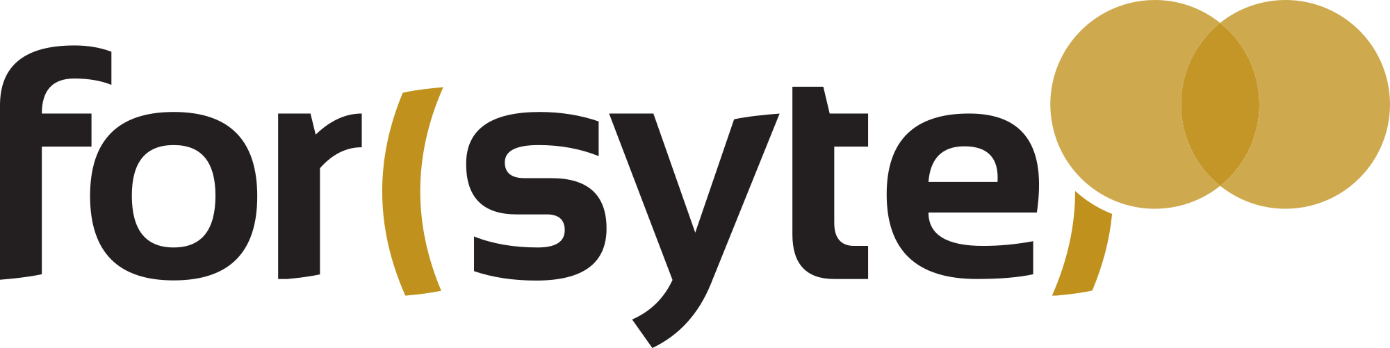 Partner Logo 4